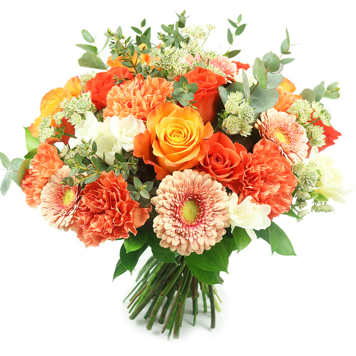 Presented upright against a stark white backdrop, this luxuriant hand-tied bouquet highlights a warm, sun-drenched palette of oranges, peaches, coral and bright yellows, balanced with crisp whites and verdant greenery. The composition centres on several prominent roses - some glowing with golden-orange richness, others a more intense fiery coral - their concentric petals forming elegant spirals and varied stages of bloom from tight buds to full heads. Surrounding these are profuse coral and burnt-orange carnations with multi-layered, scalloped petals that lend softness and generous volume to the dome. Peach-pink gerbera, with their flat, open discs and recessed yellow-green centres, punctuate the massed blooms with cheerful, graphic faces. Interspersed are clusters of small white accent flowers, likely freesia-like sprays or tiny chrysanthemum buds, that break up the warmer tones and introduce bright highlights. Pale green, starry filler resembling Astrantia and delicate sprigs of fine foliage add depth and a slightly feathery texture, while silvery eucalyptus leaves - round and muted - weave through the arrangement, anchoring the colour story and releasing a cool, herbal scent. The stems are tightly gathered and tied at the base in a professional hand-tied finish, ready to be placed in a vase on a mantelpiece or delivered to a family on St. John's Road after a stroll through Epping Forest. The overall impression is abundant, elegant, and uplifting - perfectly suited to autumnal celebrations, anniversary surprises, or as a joyful centrepiece that brings natural sophistication into the home.