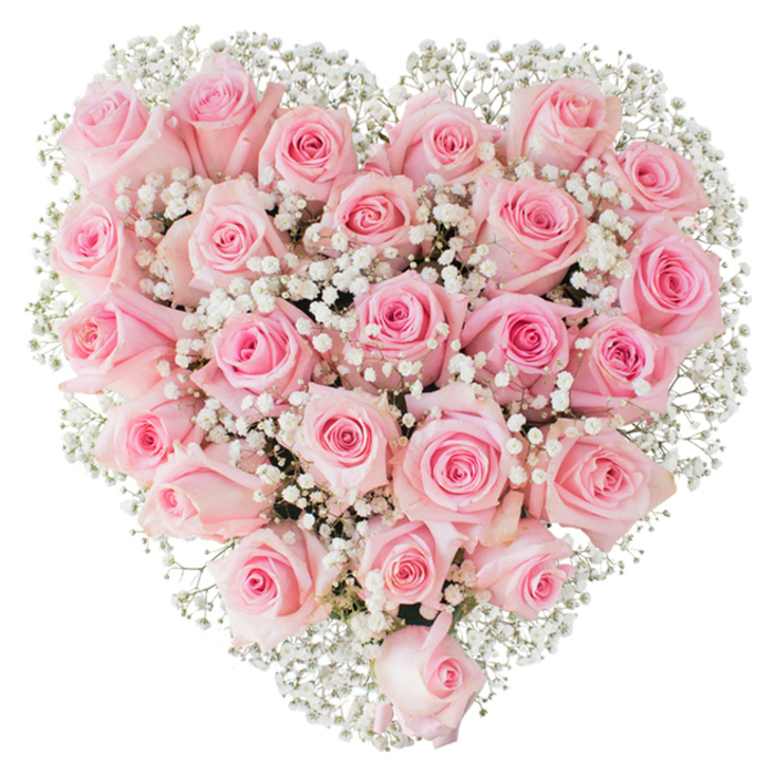 Meticulously crafted into a symmetrical heart, this abundant arrangement of soft pastel pink roses reads as a single, luxurious form against a clean white background. Approximately two to three dozen roses, varying slightly in hue from barely-there blush to a deeper rosy core, sit tightly packed so their velvety petals create a continuous, pillowed surface; some blooms are still coyly closed, others are open enough to reveal delicate spirals at their centres. Interwoven among them are innumerable sprigs of white baby's breath (Gypsophila), their tiny, cloud-like clusters producing a delicate, lace-like texture that both lightens the composition and crisply defines the heart's edge. The lighting is bright and neutral, chosen to accentuate freshness and the soft satiny sheen of each petal while eliminating distracting shadows, which makes the tactile quality - the cool, smooth touch of rose petals and the whisper-fine stems of gypsophila - almost imaginable. As a local touch, this kind of thoughtful, restrained arrangement is the sort we often prepare for ceremonies and celebrations around Epping and near the tree-lined paths of Epping Forest, where gentle, natural palettes are preferred. Crafted with the careful hand of an experienced florist, this bouquet conveys steady devotion, making it fitting for anniversaries, engagements, or quiet remembrances. Flower Delivery Epping supplies such pieces with attention to balance and emotional clarity, favouring compositions that read as both elegant and deeply personal.