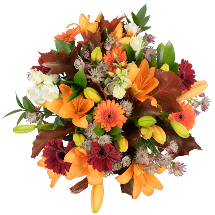 A richly textured, slightly elevated photograph of an autumnal bouquet that combines bold colour with quiet detail, hand-gathered with the local landscape in mind by Flower Delivery Epping. The composition is dominated by large, fully opened orange Asiatic lilies whose trumpet-like petals unfurl with elegant sweep, while numerous green-tinged and pale orange buds promise gradual unfolding and longer enjoyment. Bright Gerbera daisies - some in vivid pumpkin orange, others in a profound burgundy-red - punctuate the design with cheerful, sunflower-like faces. Soft, ivory lisianthus (or mini roses) tuck in-between those stronger tones, their layered, frilled petals creating gentle pockets of light that balance the richer hues. Fine, spidery clusters of purple-tinged astrantia add an almost ethereal texture, like tiny constellations threaded through the arrangement. Dark, lobed leaves in warm chestnut and reddish-brown are thoughtfully placed to mimic the fallen oak and maple leaves one might see along the paths of Epping Forest; these larger leaves offer seasonal drama and depth. Fresh green foliage and slim stems weave through the bouquet, lending structure and a lively contrast that keeps the whole piece from feeling heavy. Lit against a pristine white surface, the arrangement appears exceptionally fresh and vivid, the colours saturated and true. This bouquet reads as a celebration of harvest and hearth - perfect for Thanksgiving tables, autumn weddings, or as a comforting delivery to homes across Epping, Coopersale, and nearby lanes where the turning leaves mark the season.