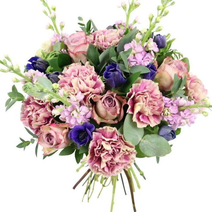 A sophisticated hand-tied bouquet stands out crisply against a plain white background, allowing its colours and textures to take centre stage. At its core lies a cluster of full garden roses in tones of blush pink, dusty mauve, and antique rose, their petals curving outwards in tightly layered spirals that embody classic romance. Surrounding these are abundant ruffled carnations, each one showing a subtle gradient from creamy or soft beige centres through blush to deeper rose and berry hues along the petal edges, creating a sense of plush fullness. Among the sea of pink tones are bold strokes of deep indigo and royal blue, with some blooms still in refined, tulip-like buds, and others open into blue anemones whose dark, velvety centres add dramatic depth. Slim stems of lilac and pale lavender stock flowers emerge vertically through the arrangement, their clusters of small blossoms softening the overall form and suggesting a delicate, slightly spicy floral scent. The vivid blooms are framed and interwoven with an array of greenery: rich dark green foliage, likely from the roses, and rounded silvery eucalyptus leaves that bring a cool, misty green tone and an aromatic freshness, reminiscent of early morning air around Epping. The stems are clearly visible, bound tightly at the base in a traditional hand-tied finish that signals the bouquet has been freshly prepared, ready for delivery around Epping and neighbouring villages. The carefully balanced blend of pinks, purples, blues, and greens lends the arrangement an elegant, comforting presence, ideal for anniversaries, spring celebrations, or sending warm wishes from afar.