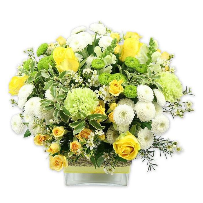 A lush, dome-shaped bouquet in a bright palette of sunny yellow, clean white, and fresh green is elegantly arranged in a clear, square glass vase, standing out against a luminous white background that suggests a calm, airy room in Epping. At the centre of the composition, several yellow roses bloom fully, their petals layered in rich spirals and curling softly at the edges, balanced by tighter buds that bring a sense of new beginnings. Around these focal blooms, smaller yellow spray roses cluster on branching stems, adding texture and the charm of a cottage garden. Interspersed among the yellow tones, white pompom chrysanthemums form compact, rounded shapes, their densely layered petals creating a plush, tactile look that contrasts with the sleeker roses. Sharp pops of colour come from lime-green button chrysanthemums, small and button-like, dotted throughout the arrangement to provide visual rhythm. Larger, pale-green frilled flowers - reminiscent of ruffled carnations or green chrysanthemums - rest between the yellow and white blooms, adding a cool, refreshing layer that evokes the greenery of nearby Epping Forest. The bouquet is anchored by abundant foliage: broad variegated leaves edged in creamy white offer structure, while finer, darker green stems and sprigs fill the spaces, lending depth and a sense of natural movement. Delicate, star-shaped white filler flowers are lightly scattered through the design, giving an airy, lace-like finish. The clear glass vase reveals a neat grid of stems but is given warmth and texture by a band of rustic material, possibly bark or woven fibre, wrapped around its midsection and topped with a bright lime-green ribbon. Crafted with the eye of a local Epping florist, this arrangement evokes joy, renewal, and gentle celebration, ideal for marking birthdays, sending congratulations, or brightening a dining table in areas like Theydon Bois and Coopersale.